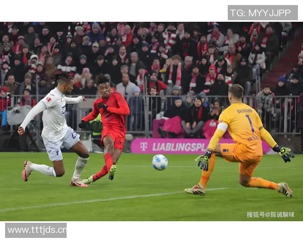 国米与拜仁欧冠激战乐视直播全程回顾与精彩瞬间分析